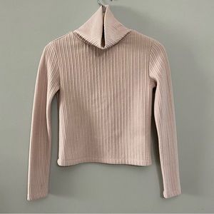 Babaton Aritzia Ribbed Cropped Turtleneck Top